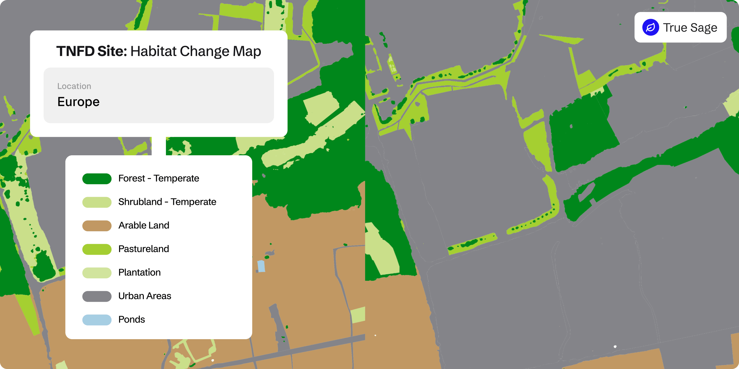 screenshot of Gentian True Sage